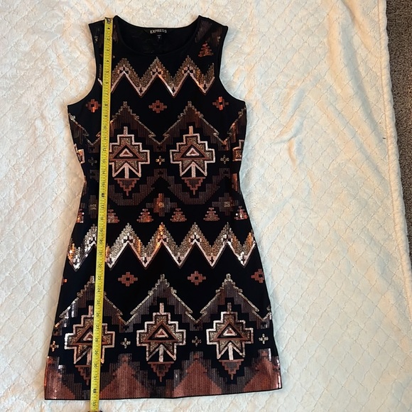 Express Sequin Dress - Picture 5 of 5